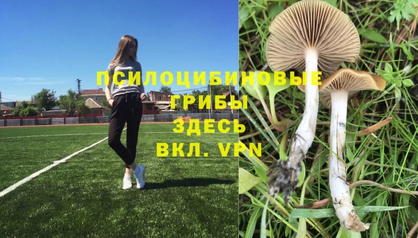каннабис Алзамай