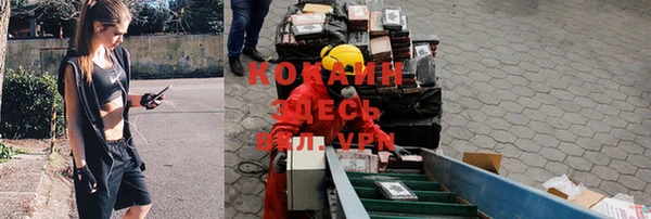 героин Алексин