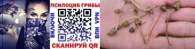 Псилоцибиновые грибы мухоморы Березники