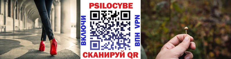 shop состав  где продают наркотики  Березники  Галлюциногенные грибы Cubensis  OMG  